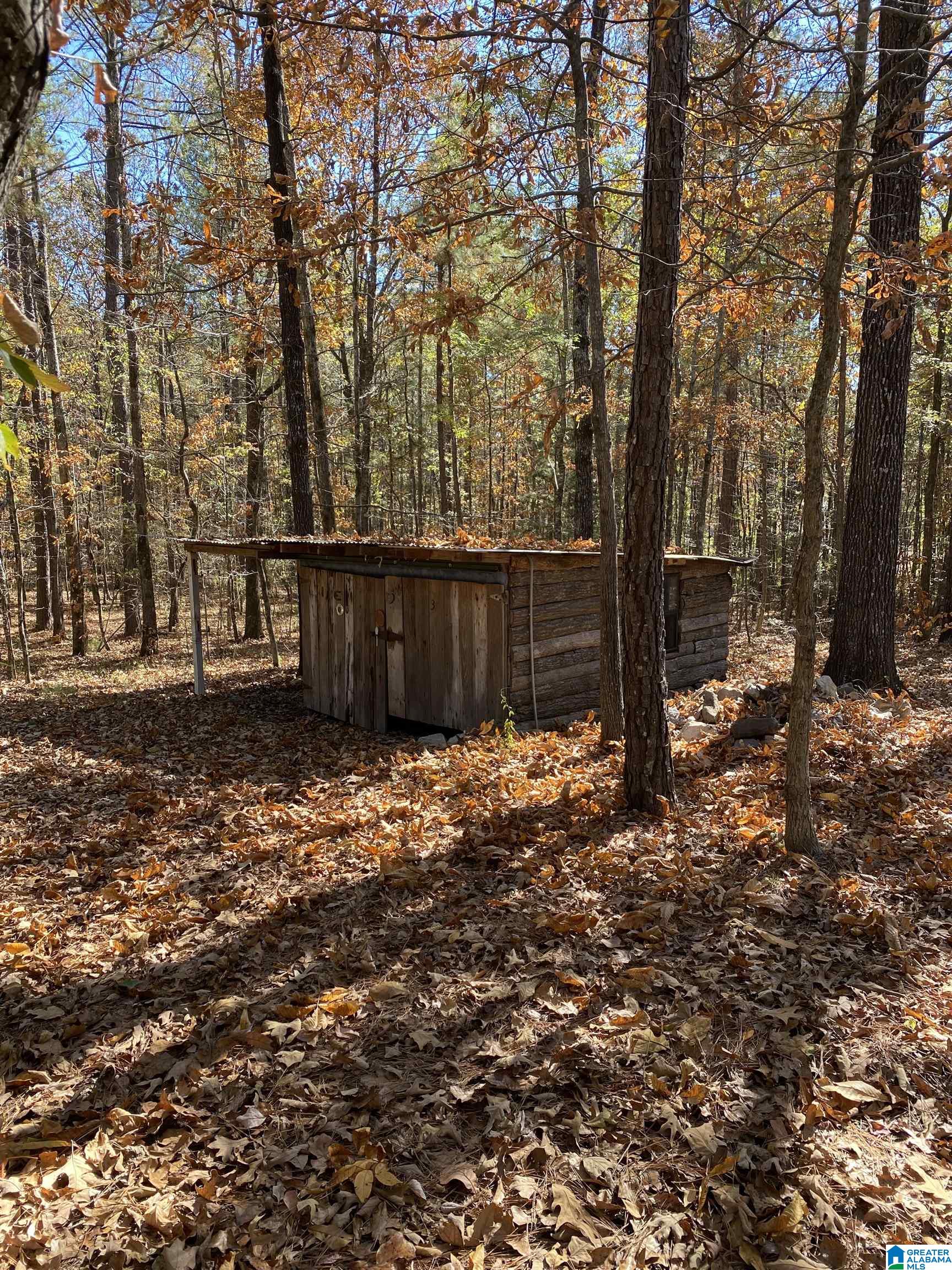 7512 Baby Doe Road Brookwood, AL 35444 - Photo 7 of 29