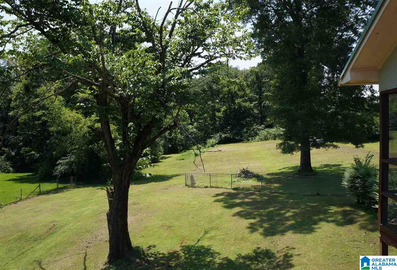 203 Bon Air Road Childersburg, AL 35044 - Photo 39 of 45