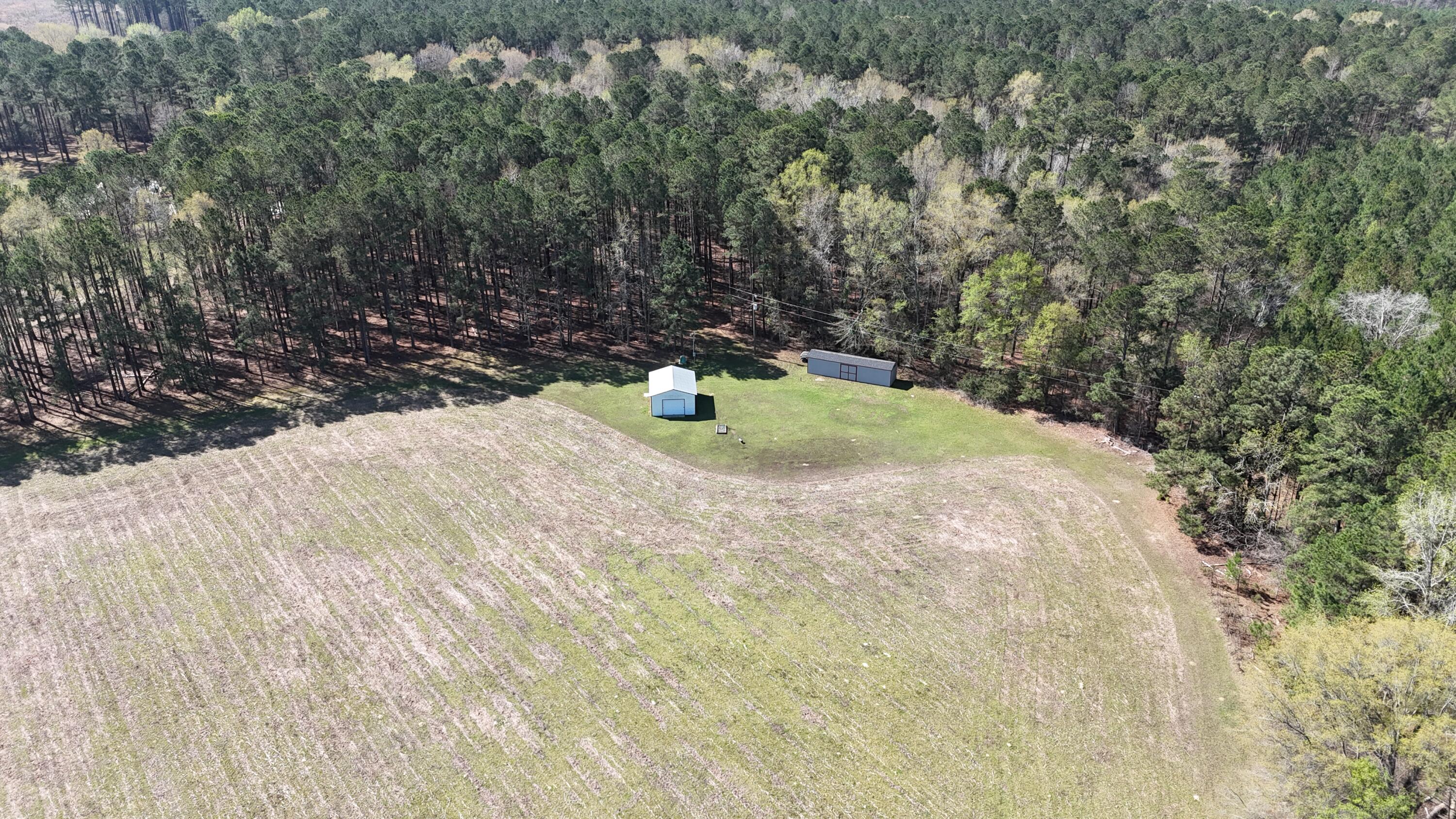 1995 Sam Nexsen Road Summerton, SC 29148 - Photo 33 of 110