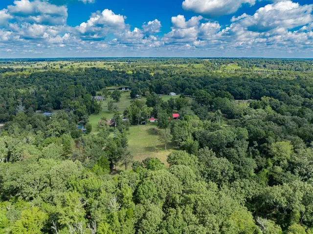 a view of a bunch of flowers and yard
