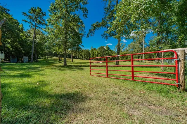a view of a park with large trees
