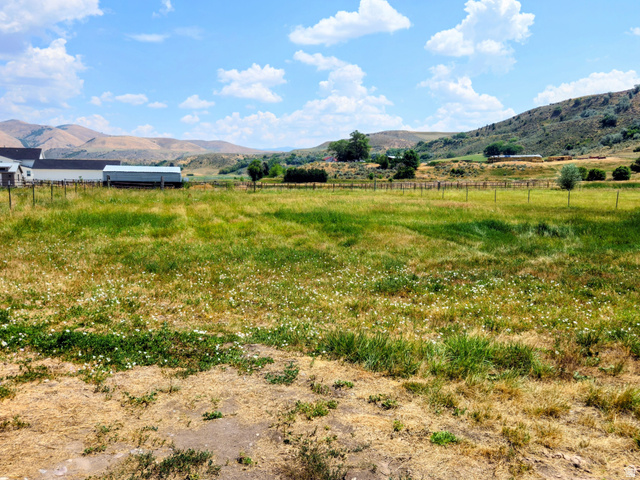 802 East 3200 Road North Preston, ID 83263 - Photo 14 of 59 Expansive field featuring natural grasses and distant mountains