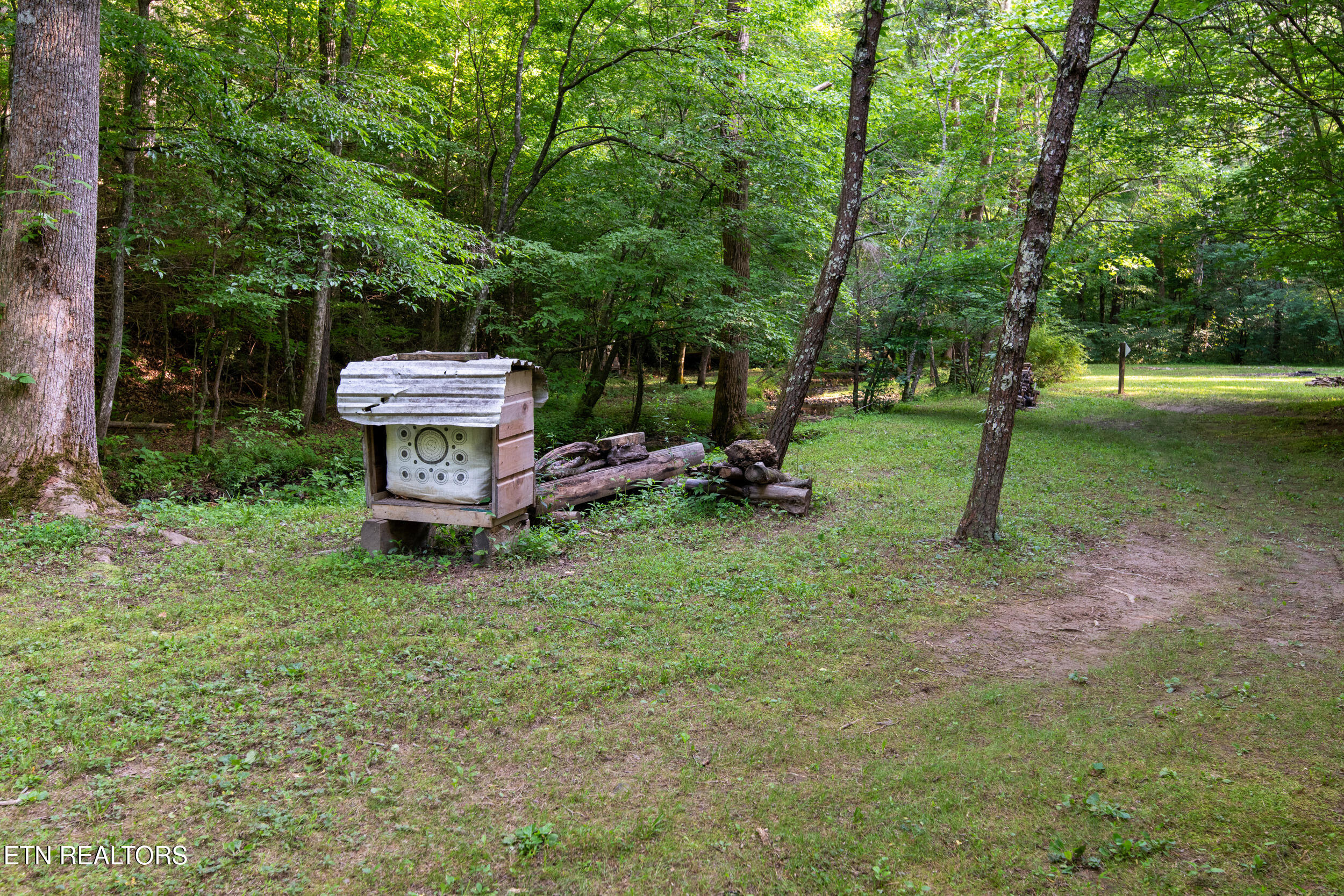 610 Towee Falls Road Tellico Plains, TN 37385 - Photo 10 of 60 610 towee falls rd-14