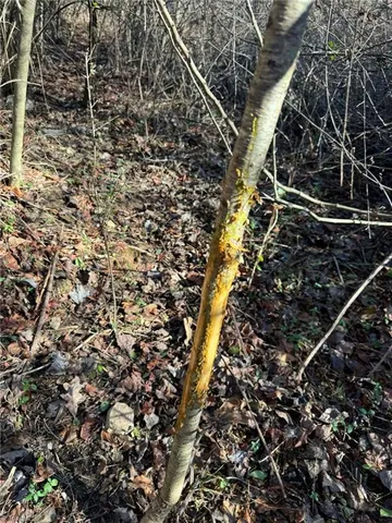 $159,900 | 2 Rock Creek Church Road, North Wilkesboro, NC 28659