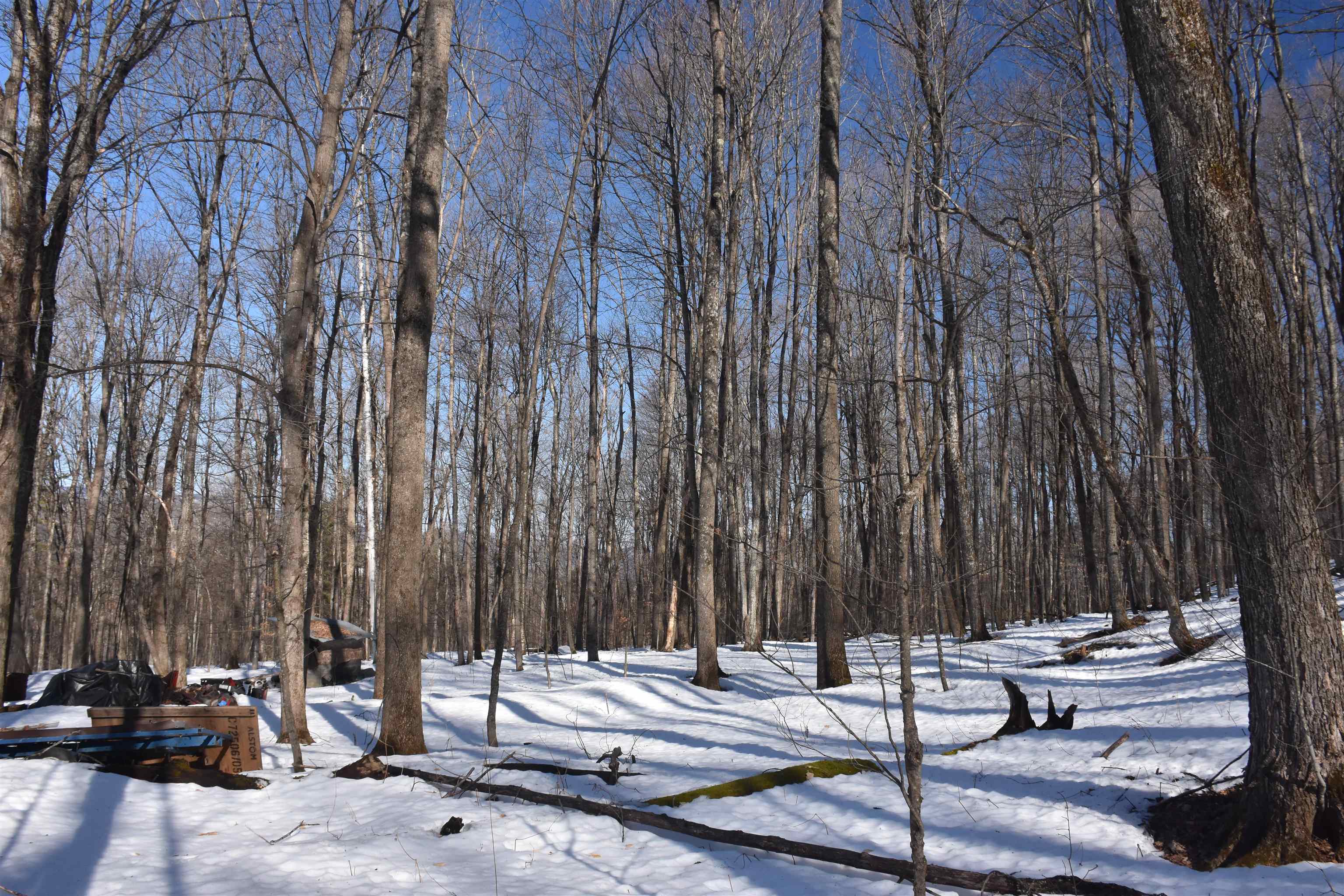 397 Winch Hill Extension Roxbury, VT 05663 - Photo 41 of 57