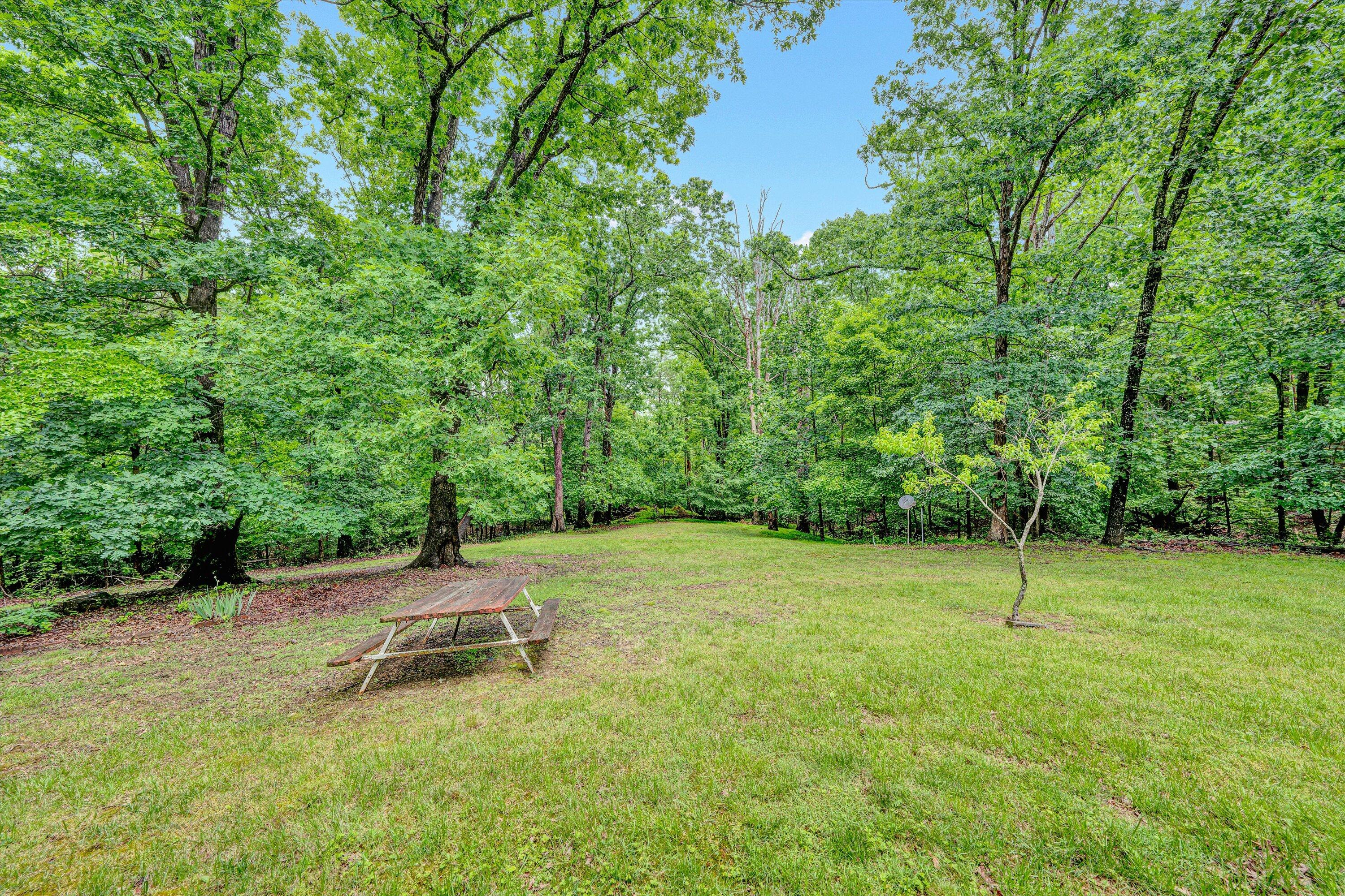 6570 Shingle Rdg Road Roanoke, VA 24018 - Photo 35 of 37 Backyard