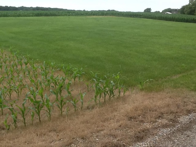 0 Norrish Road Morrison, IL 61270 - Photo 3 of 6