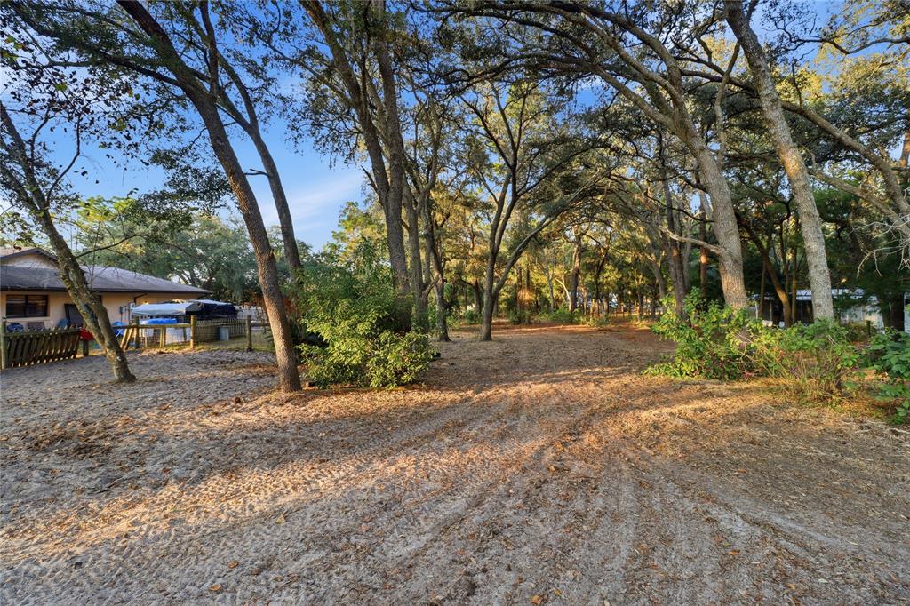 3050 East Possum Court Inverness, FL 34452 - Photo 34 of 65 a dirt road with large trees