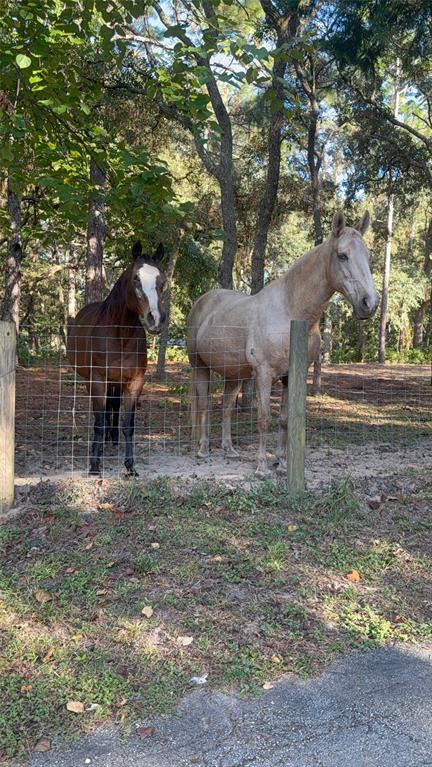 3050 East Possum Court Inverness, FL 34452 - Photo 43 of 65 a view of a house with a yard