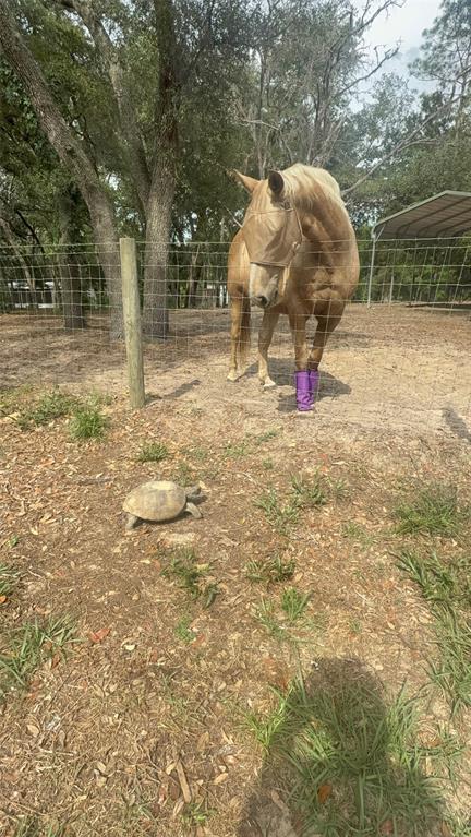 3050 East Possum Court Inverness, FL 34452 - Photo 52 of 65 a backyard of a house with table and chairs