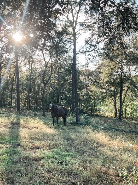 3050 East Possum Court Inverness, FL 34452 - Photo 55 of 65 a view of outdoor space