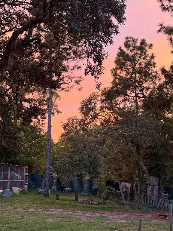 3050 East Possum Court Inverness, FL 34452 - Photo 59 of 65 a view of a yard in front of a house