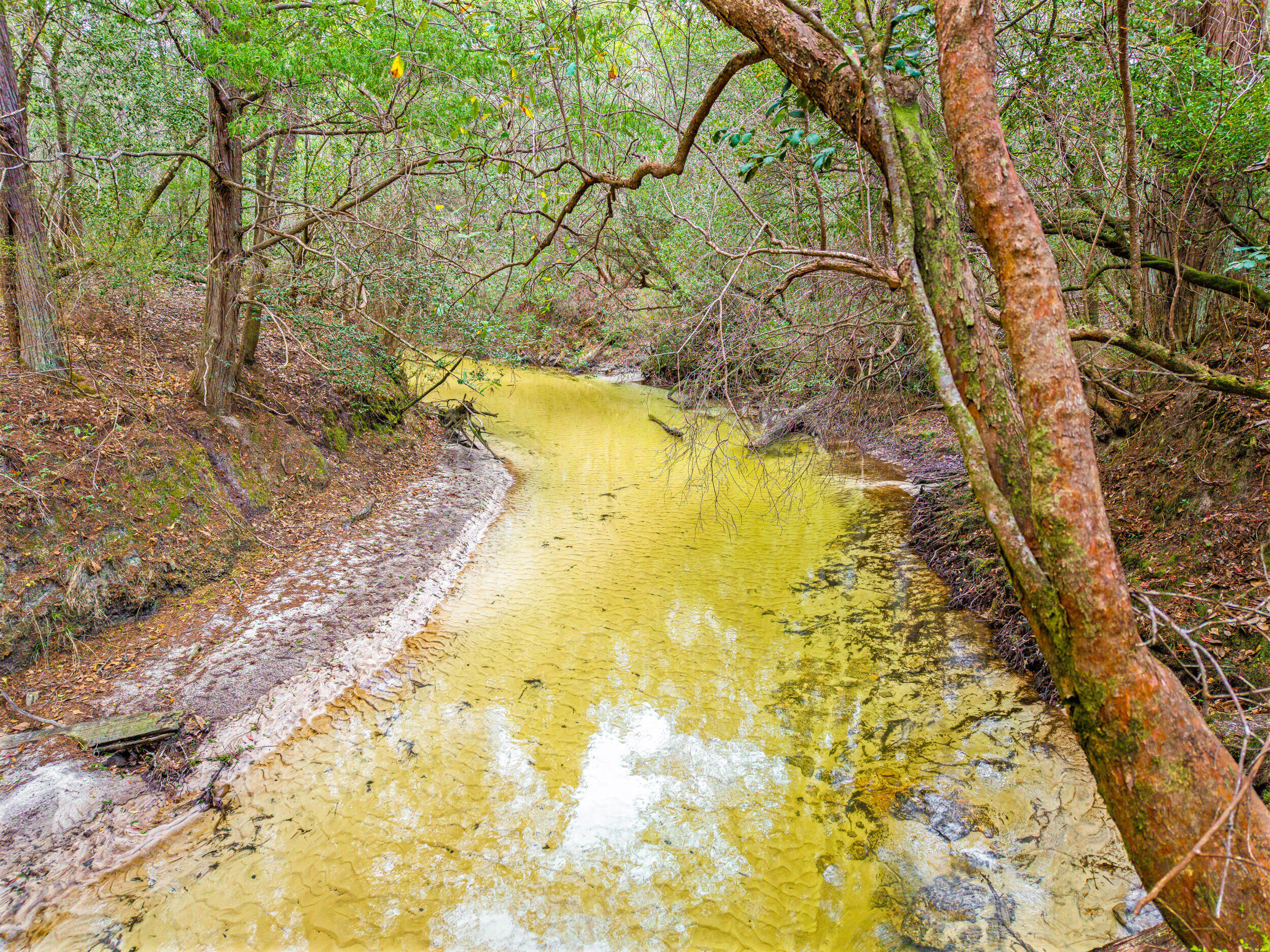 6130 Sherman Kennedy Road Baker, FL 32531 - Photo 1 of 9 a view of yard with swimming pool
