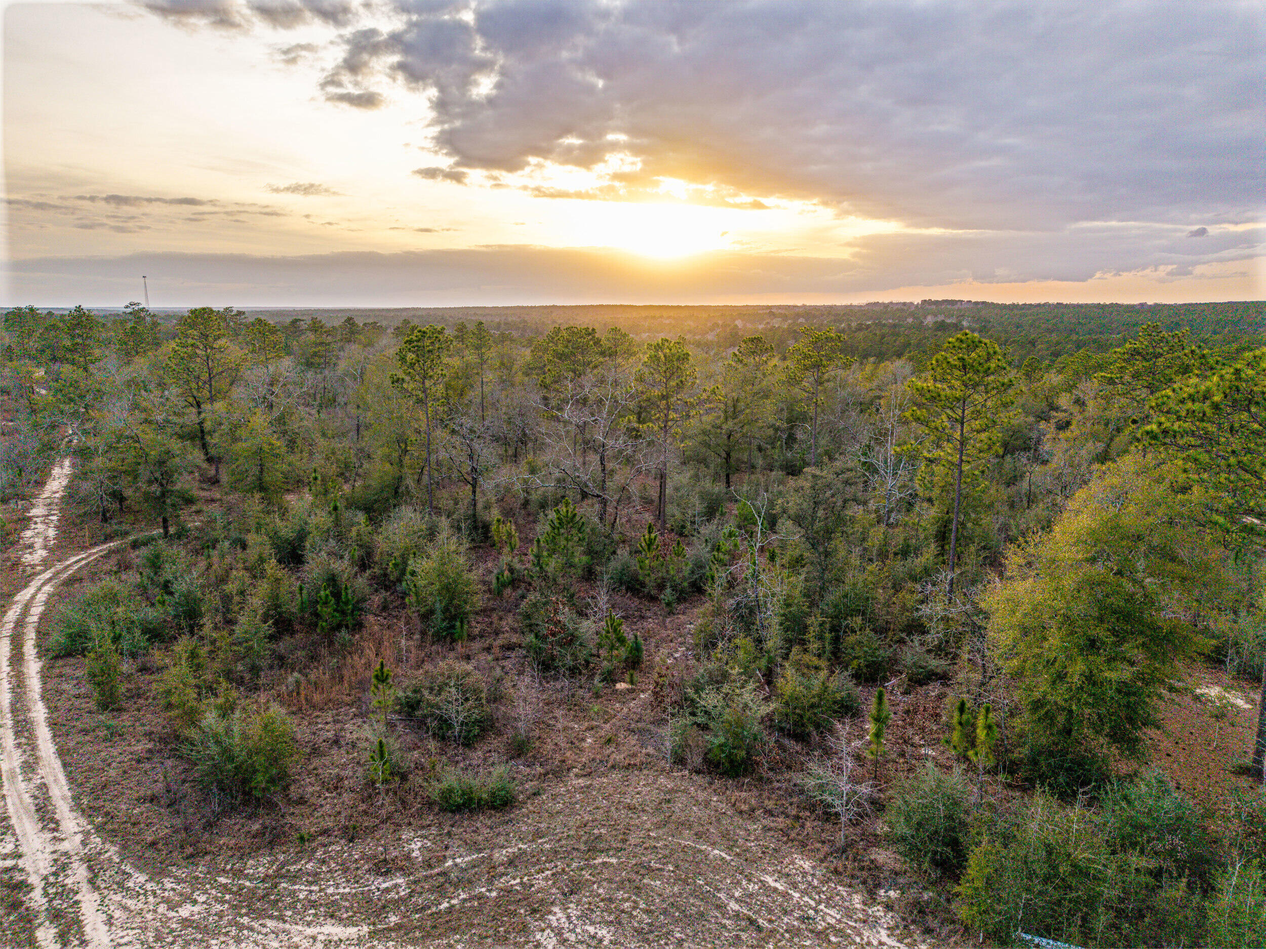 6130 Sherman Kennedy Road Baker, FL 32531 - Photo 2 of 9 a view of a city with lots of trees