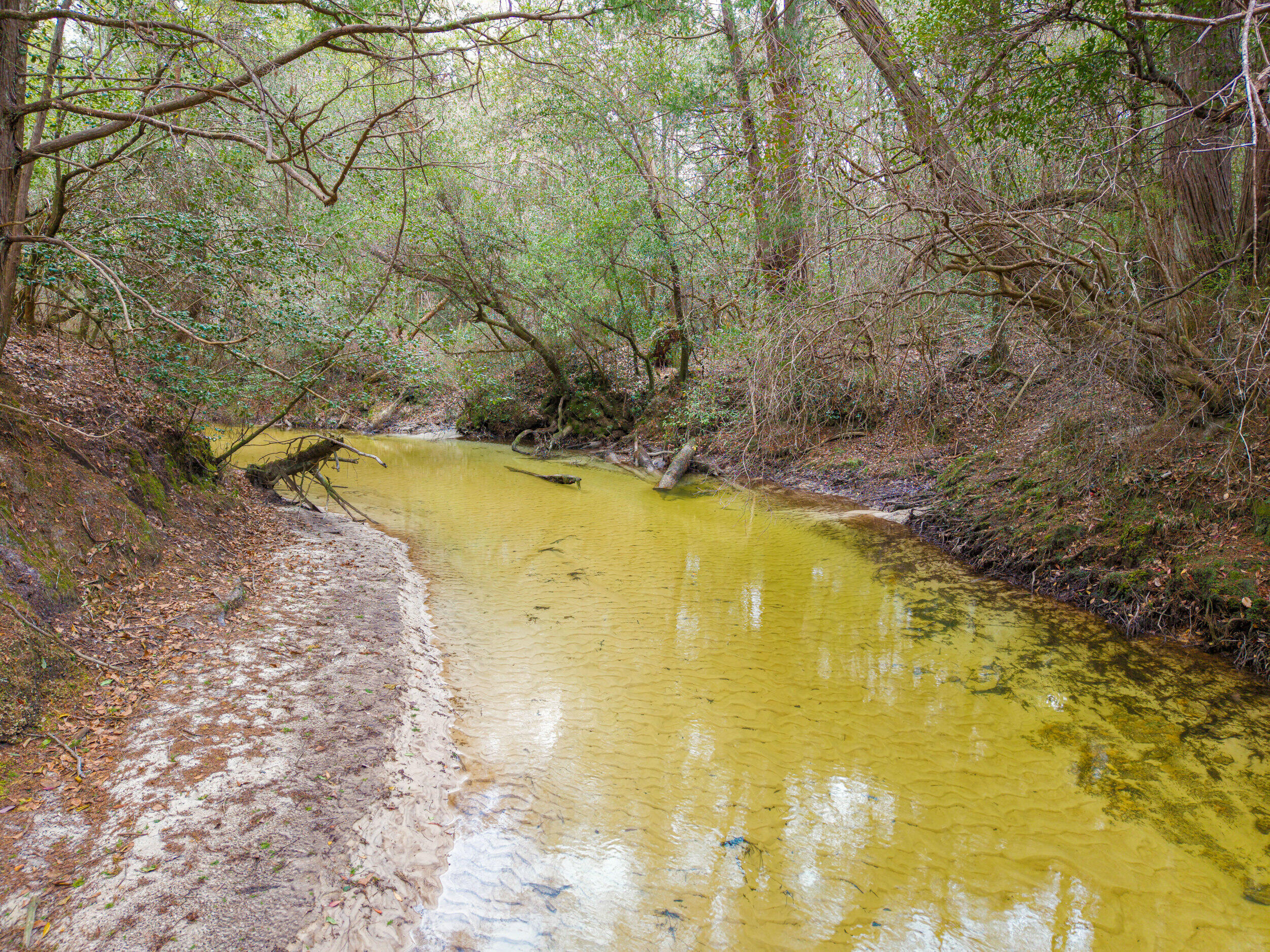 6130 Sherman Kennedy Road Baker, FL 32531 - Photo 4 of 9 a view of swimming pool with an outdoor space