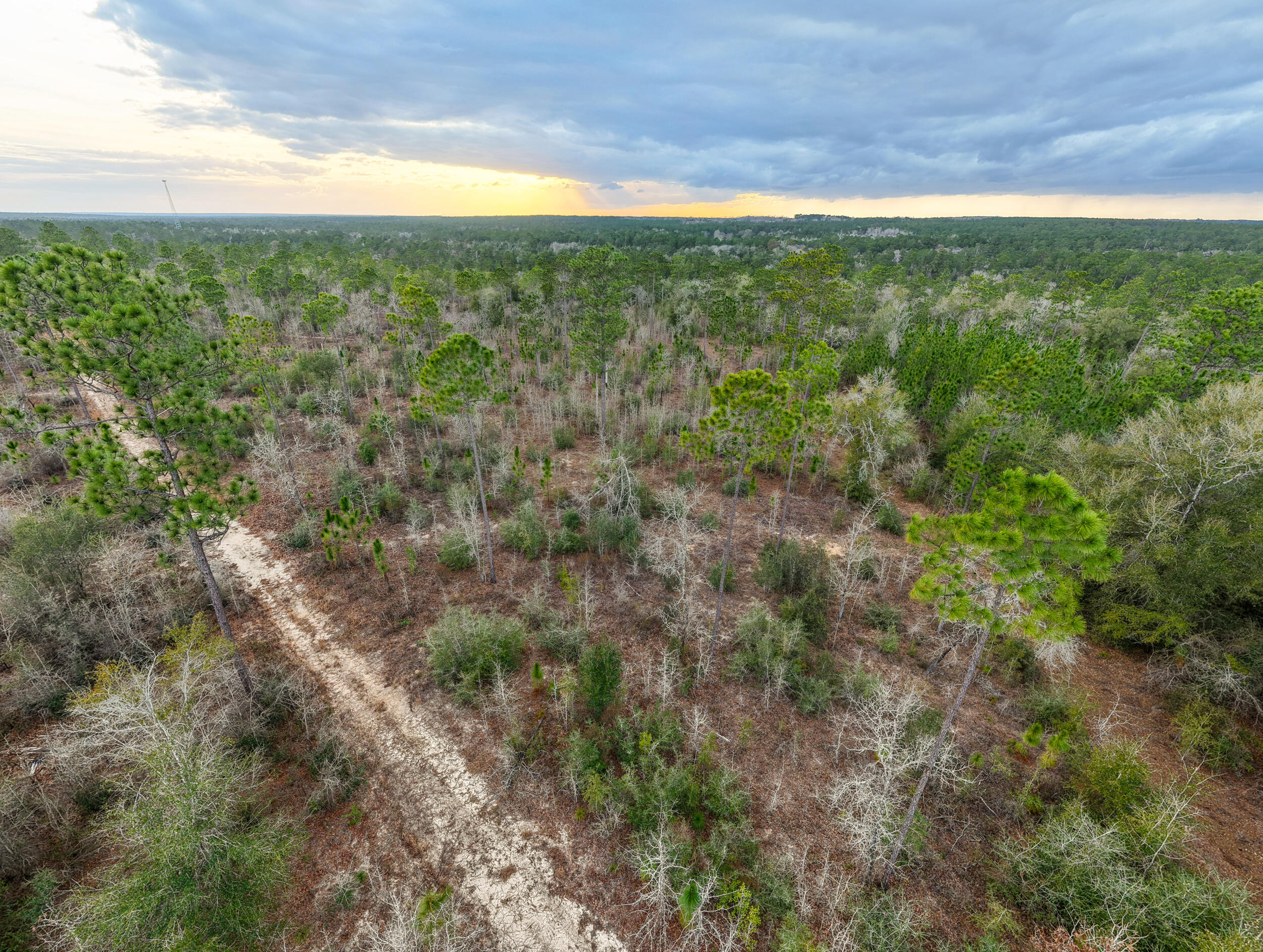 6130 Sherman Kennedy Road Baker, FL 32531 - Photo 6 of 9 a view of a yard with an outdoor space
