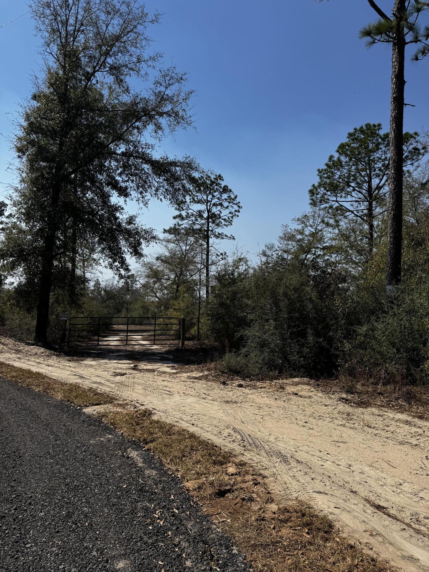 6130 Sherman Kennedy Road Baker, FL 32531 - Photo 9 of 9 a view of outdoor space with trees