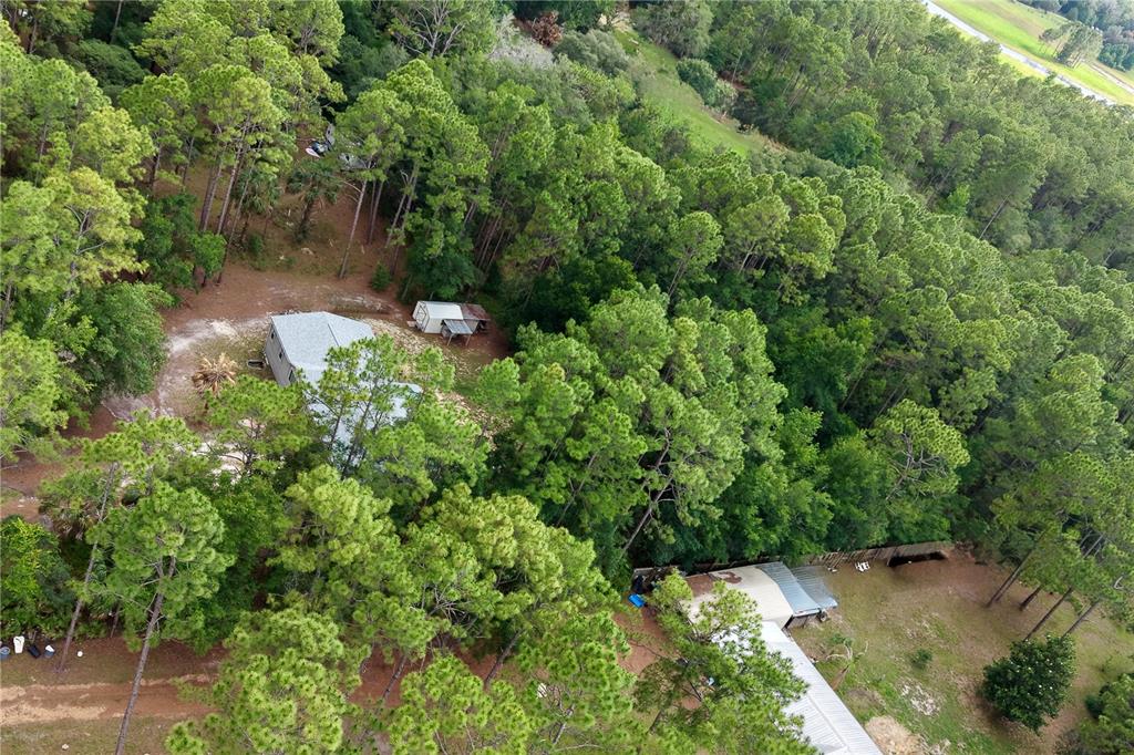 2482 South Wakulla Point Homosassa, FL 34448 - Photo 34 of 36