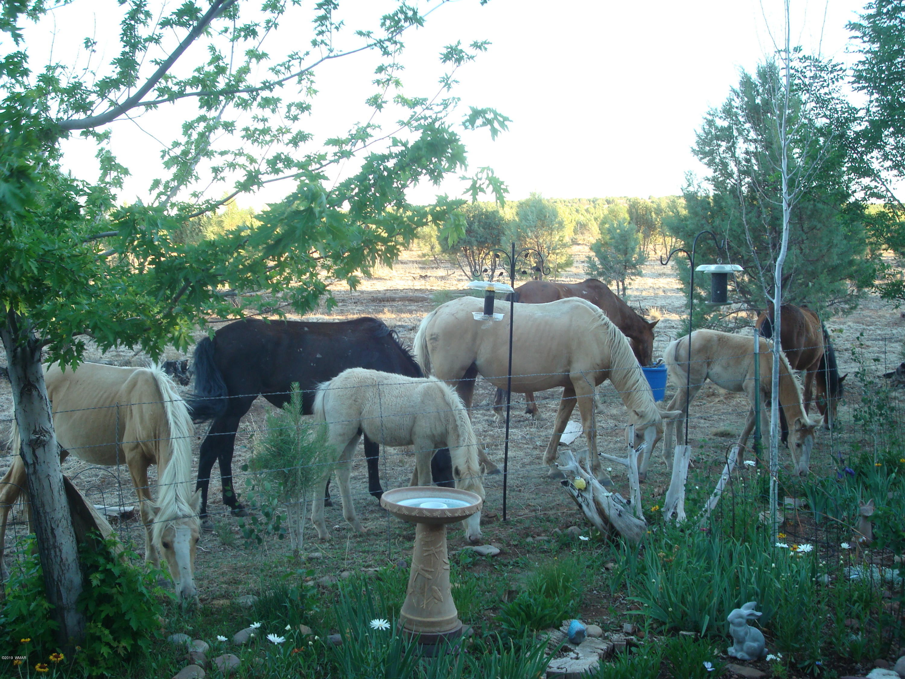 2668 Lodge Loop Overgaard, AZ 85933 - Photo 28 of 35 Gallery Image 28