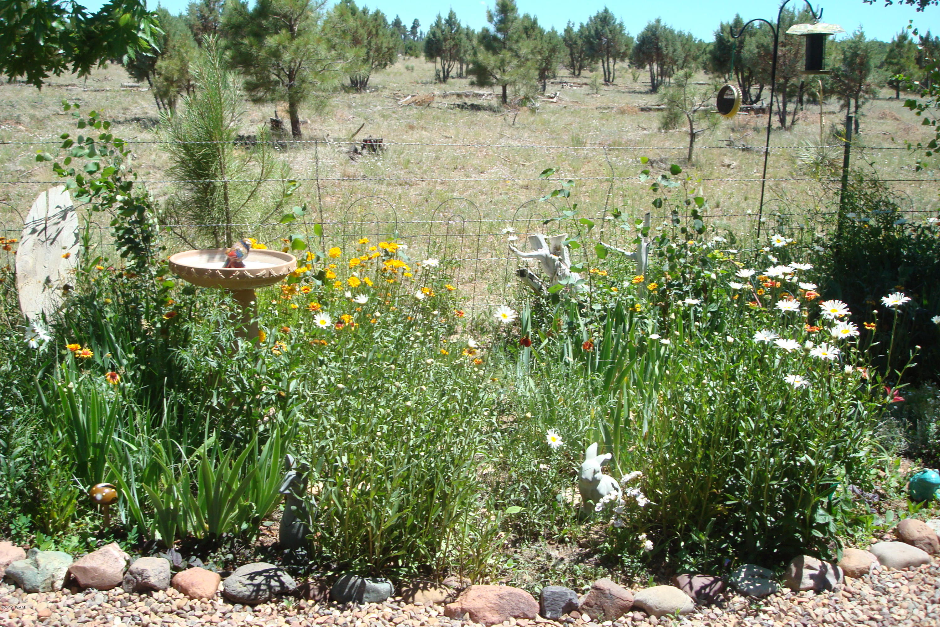 2668 Lodge Loop Overgaard, AZ 85933 - Photo 3 of 35 Gallery Image 3
