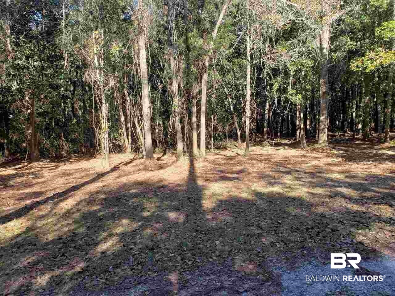 21655 Highway 98 Foley, AL 36535 - Photo 12 of 22