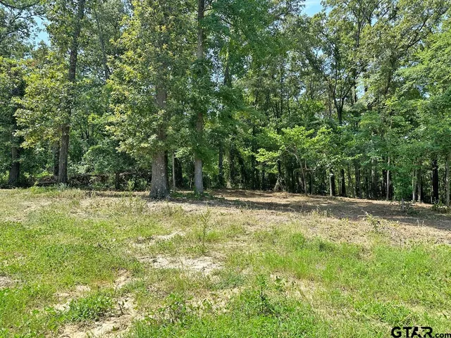 a view of a yard with trees