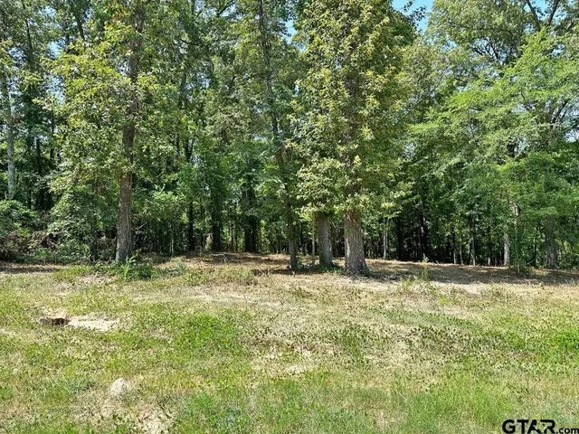 a view of outdoor space with trees all around