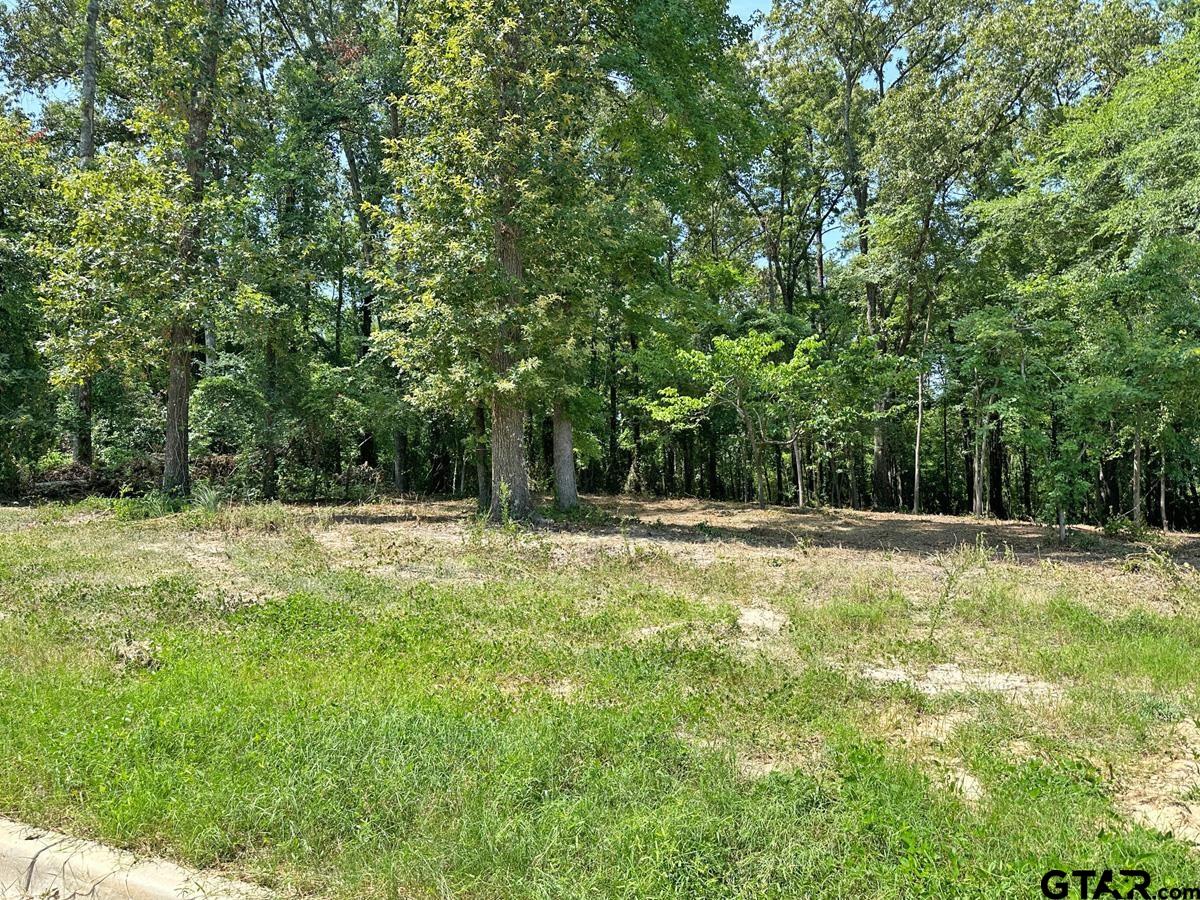 1792 Stonecrest Boulevard Tyler, TX 75703 - Photo 5 of 7 a view of a swimming pool with a yard