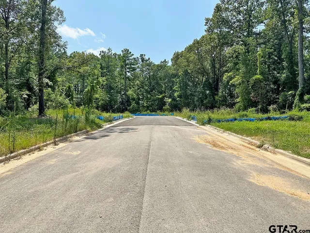 a view of a road with a yard and large trees