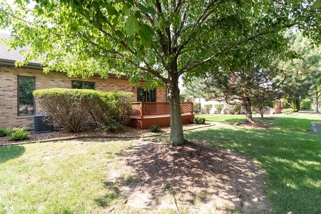 154 Bent Tree Lane New Lenox, IL 60451 - Photo 25 of 25 a tree in the garden of the house