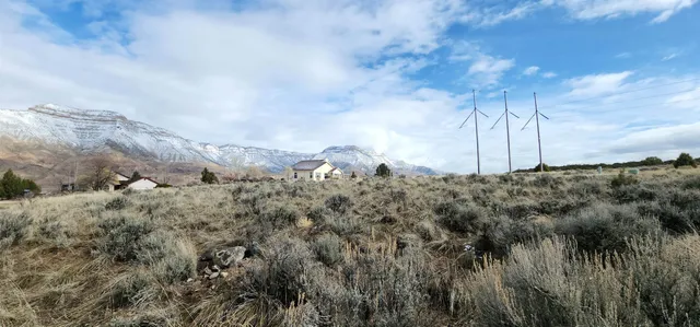 a view of a covered with trees