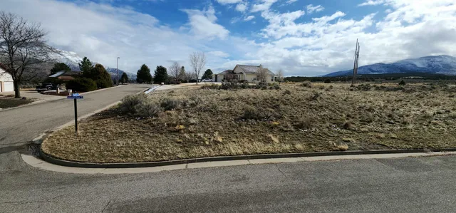 a view of a dry yard