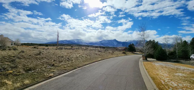 a view of a yard with wooden fence