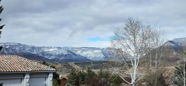 a view of a backyard