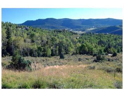 465 Little Andorra Road Edwards, CO 81632 - Photo 1 of 6 a view of mountain and a yard