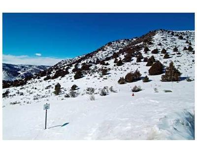 465 Little Andorra Road Edwards, CO 81632 - Photo 4 of 6