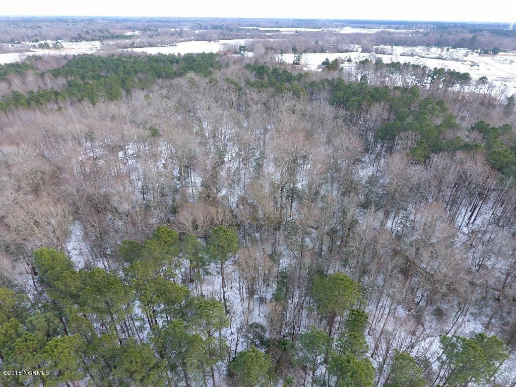 26.89 Bynum Farm Road Pinetops, NC 27864 - Photo 3 of 43 3 (1024x768)