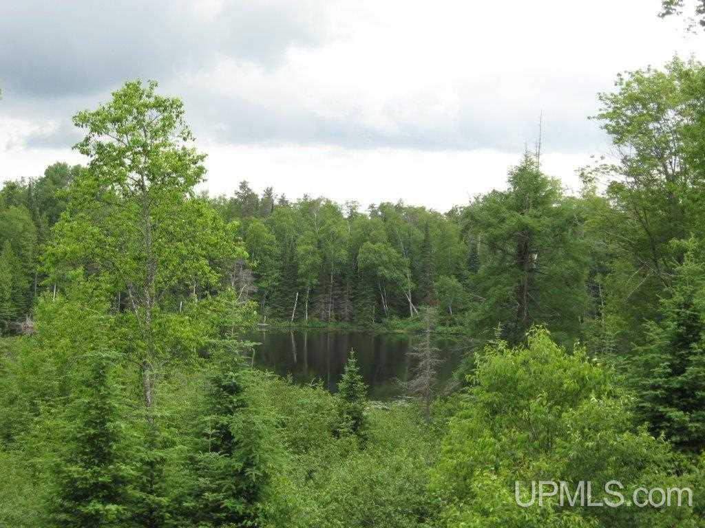 8473-schaawe 24th Road Rapid River, MI 49878 - Photo 22 of 22