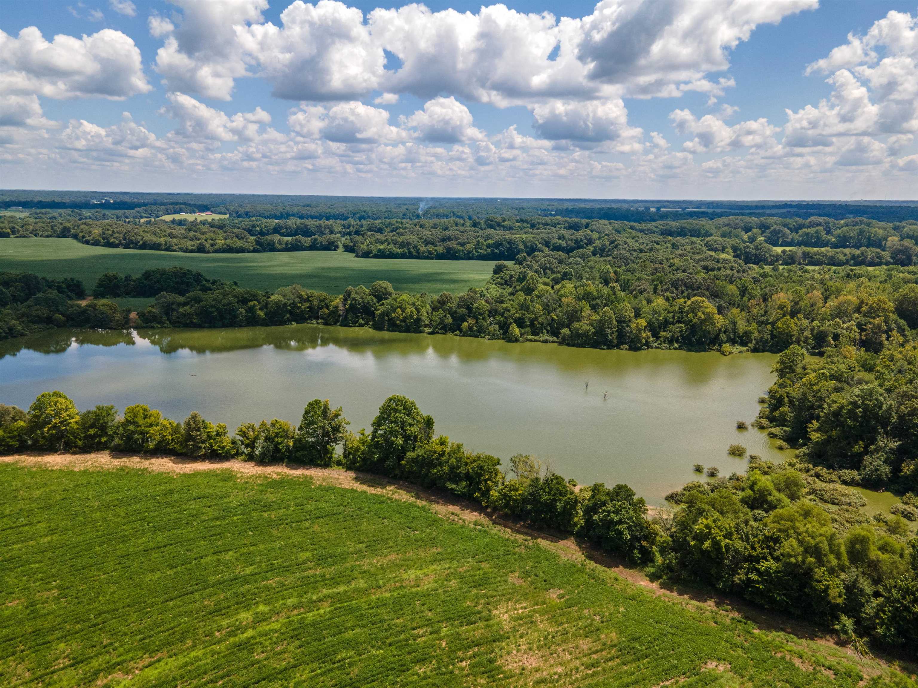 Old Jackson Road Somerville, TN 38068 - Photo 7 of 7 Gallery Image 7