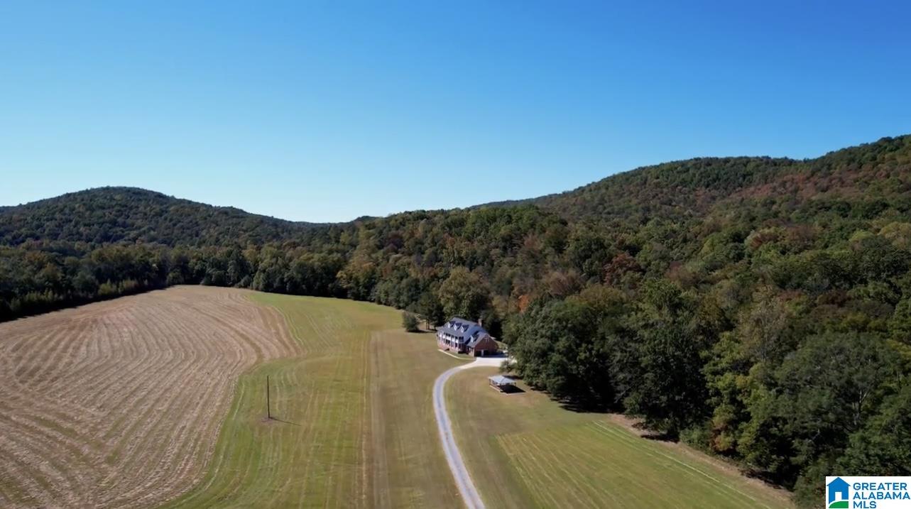 934 Fred Walker Road Oneonta, AL 35121 - Photo 73 of 78