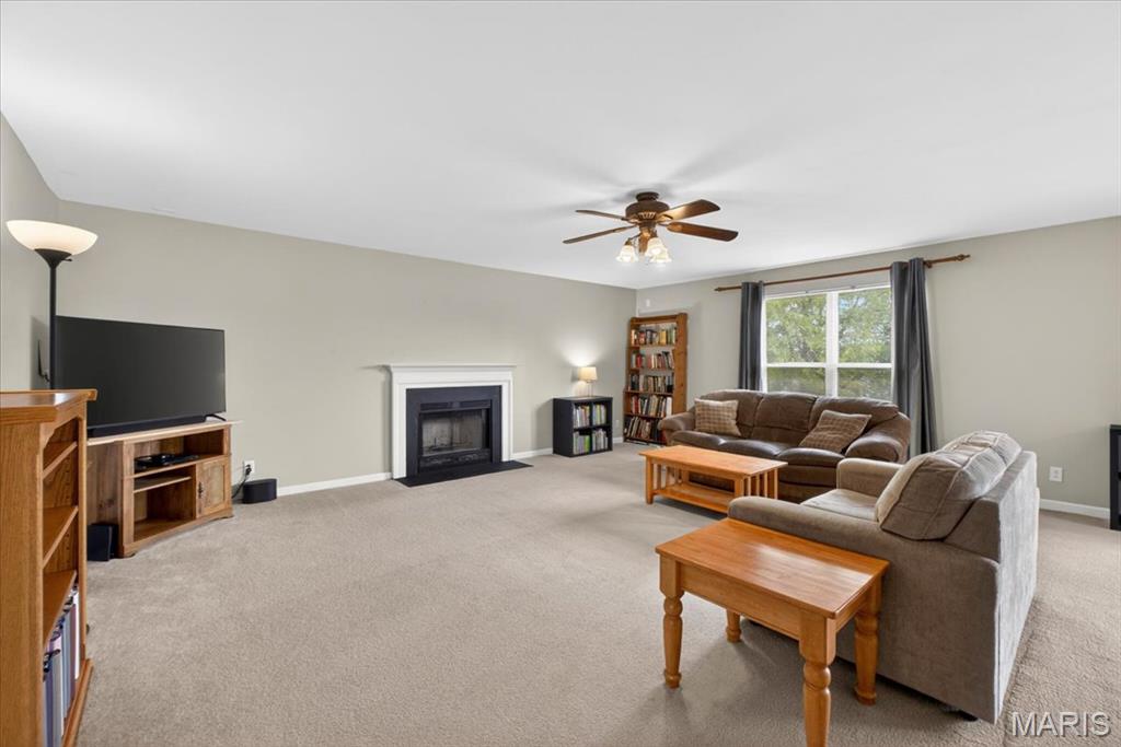 3439 Caton Run Crossing Shiloh, IL 62221 - Photo 11 of 48