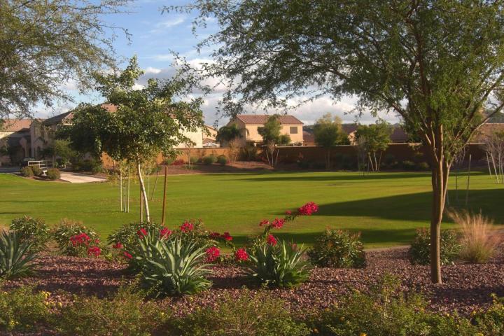 2030 West Davis Road Phoenix, AZ 85023 - Photo 14 of 17 COMMUNITY PARK