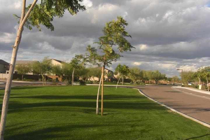 2030 West Davis Road Phoenix, AZ 85023 - Photo 17 of 17 COMMUNITY PARK