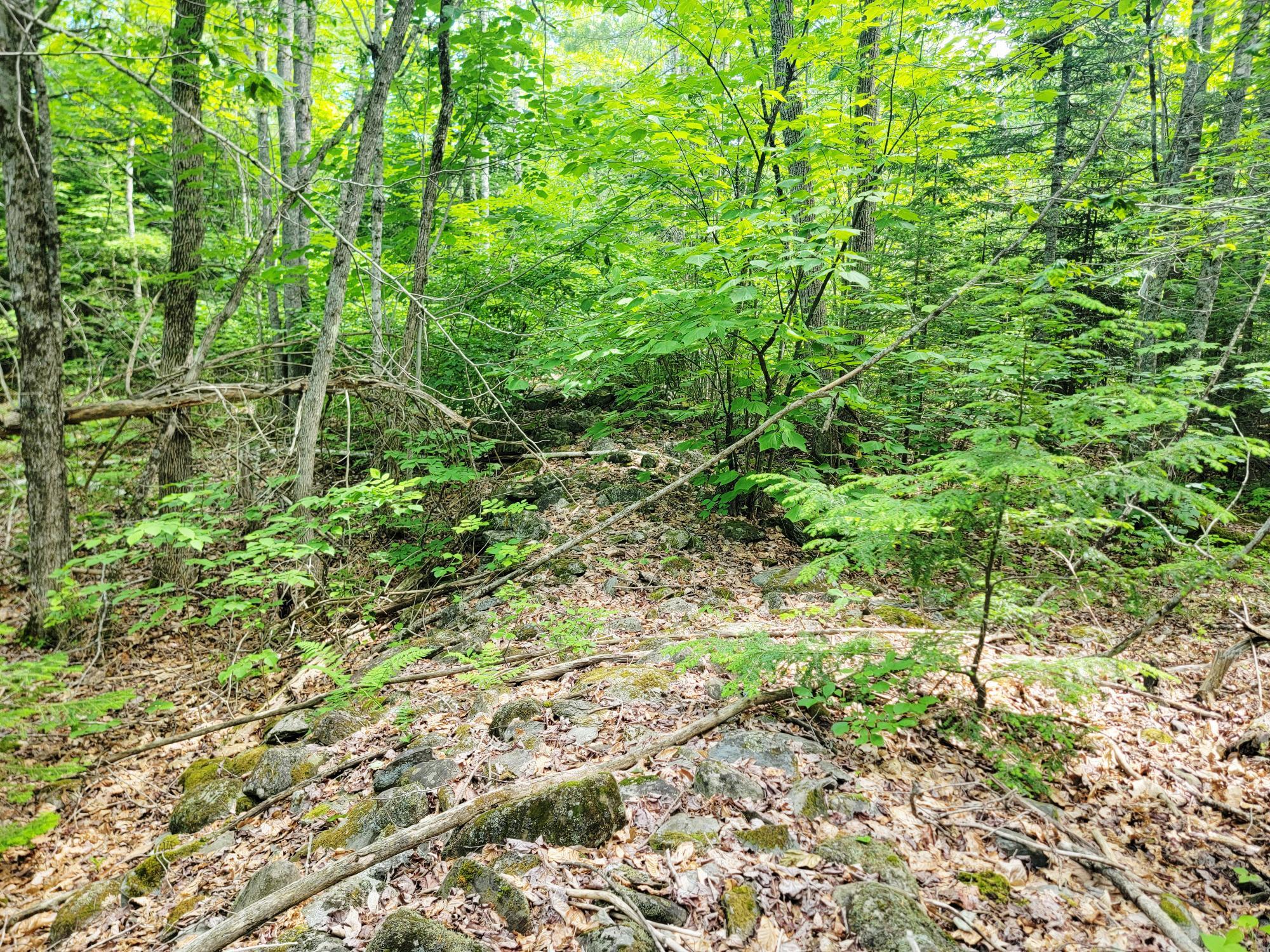 477 Hadley Mill Road Jackson, ME 04921 - Photo 12 of 32