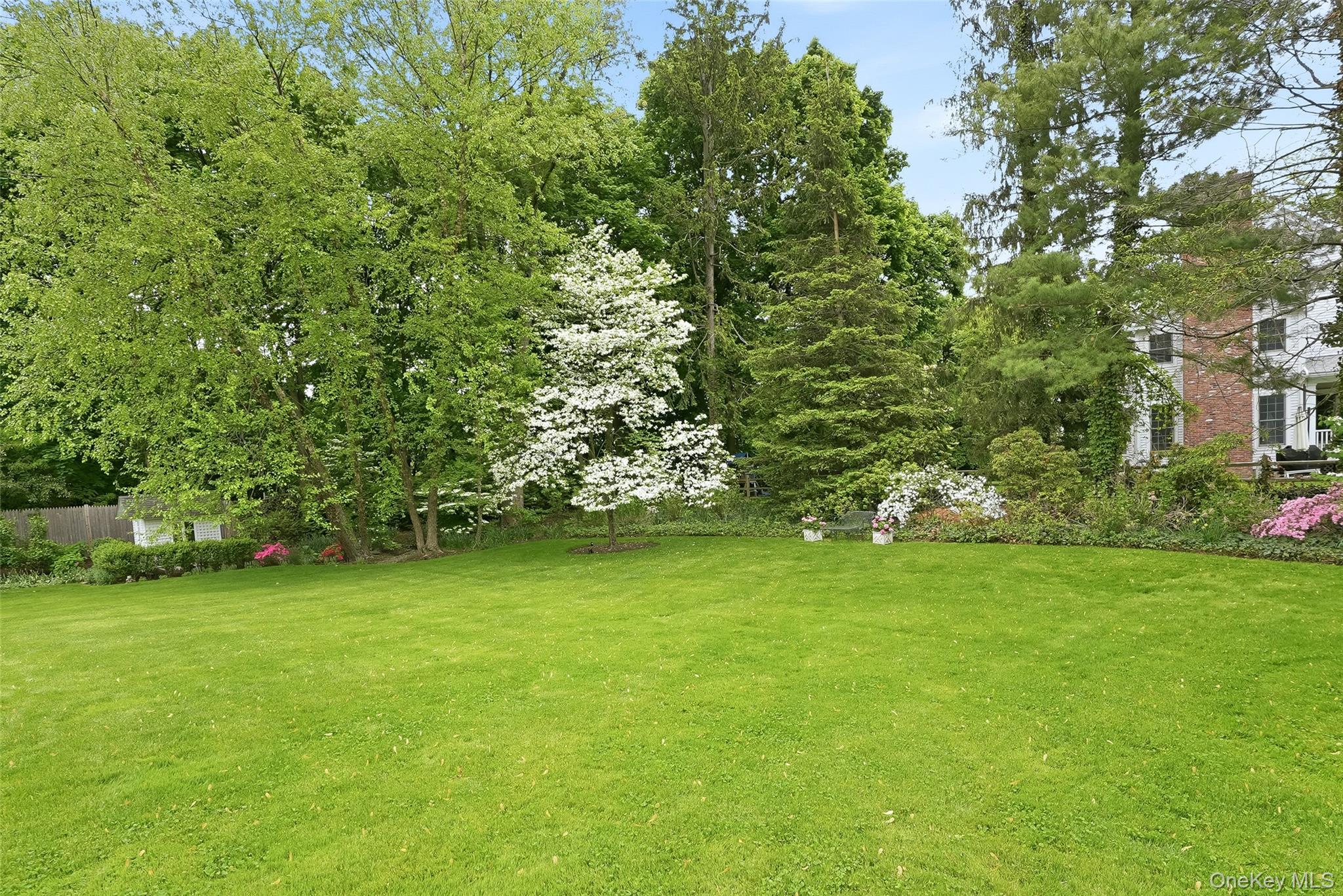 164 Julian Street Rye, NY 10580 - Photo 33 of 38