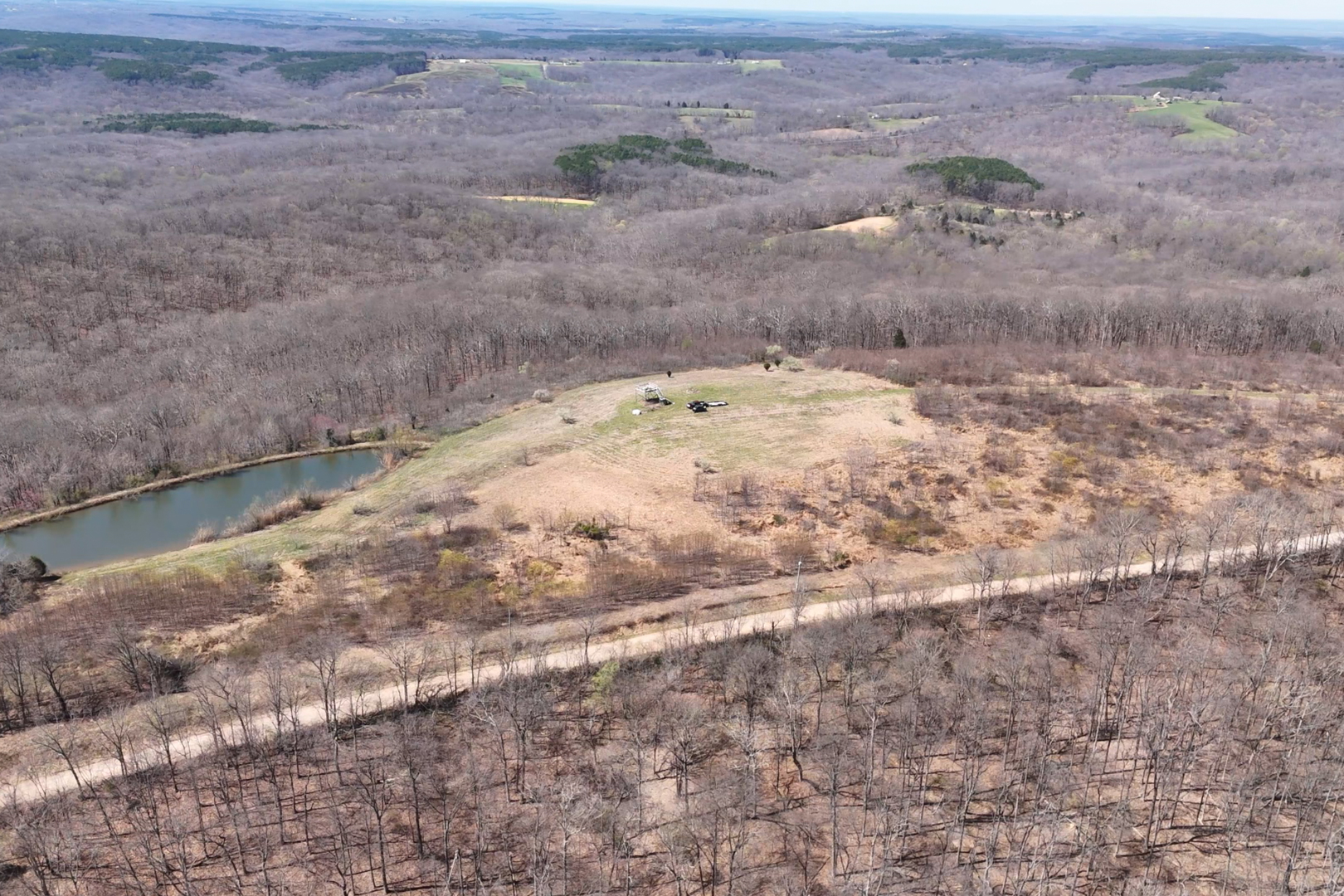 191 Bruce Johnson Road Herod, IL 62947 - Photo 7 of 36 a view of a dry yard covered with trees