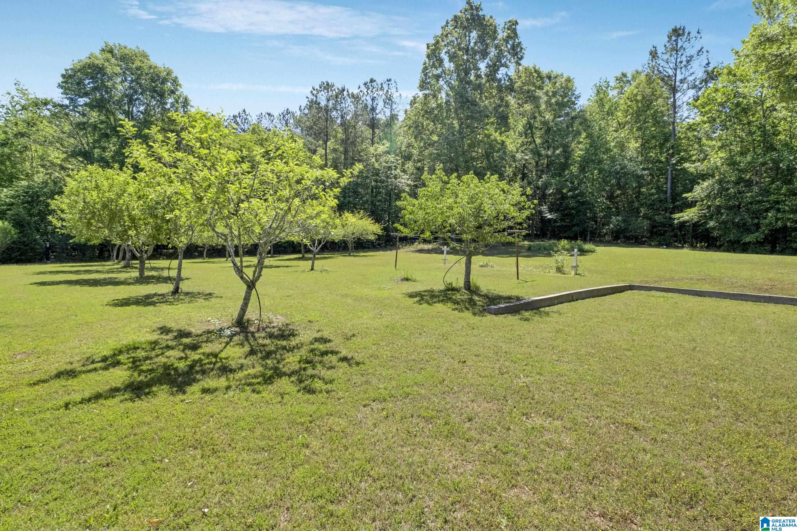 466 Seven Springs Road Wellington, AL 36279 - Photo 43 of 62