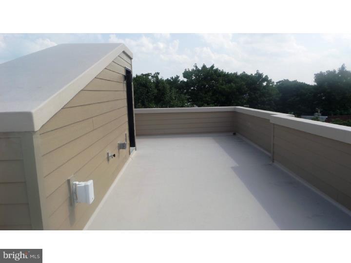 1910 Reed Street Philadelphia, PA 19146 - Photo 8 of 12 Deck