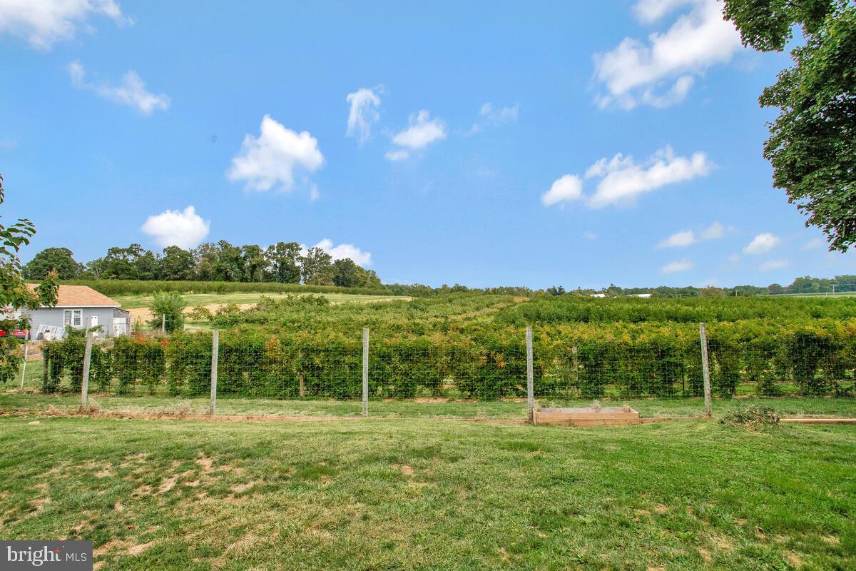 2985 Florence Road Woodbine, MD 21797 - Photo 8 of 34 gorgeous orchard view