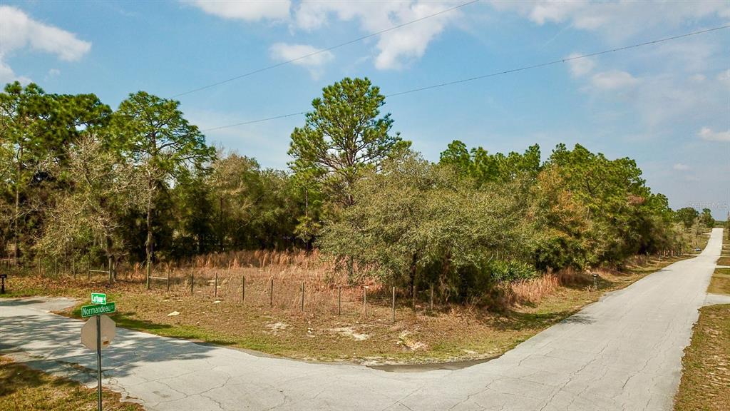 Normandeau & Carthage Spring Hill Spring Hill, FL 34610 - Photo 1 of 1 aerial image showing front of parcel